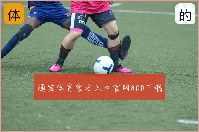 通宝体育官方入口官网app下载